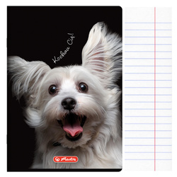 Zeszyt A5 60 kartek w linie z marginesem 70g Crazy Animal HERLITZ