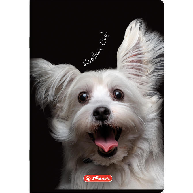 Zeszyt A5 60 kartek w linie z marginesem 70g Crazy Animal HERLITZ