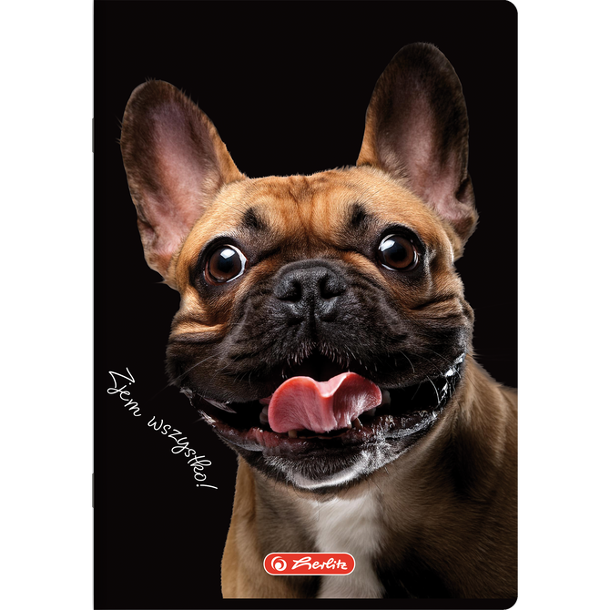 Zeszyt A5 60 kartek w linie z marginesem 70g Crazy Animal HERLITZ