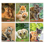 Wyprawka szkolna do szkoły piórnik zeszyty pióro 10el. PELIKAN HERLITZ