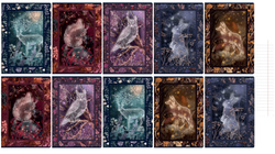 Zeszyt A5 32 kartki w linie z marginesem 70g/m2 Fairytale 10szt TOP 2000