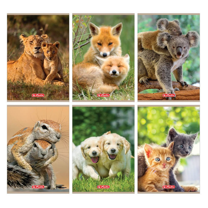 Wyprawka szkolna do szkoły piórnik zeszyty kredki 7el. PELIKAN HERLITZ