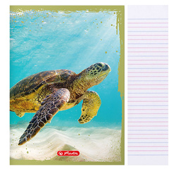 Zeszyt A5 16 kartek podwójna linia kolorowa 3linie 70g/m2 Animals HERLITZ