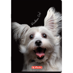 Zeszyt A5 60 kartek w linie z marginesem 70g Crazy Animal HERLITZ