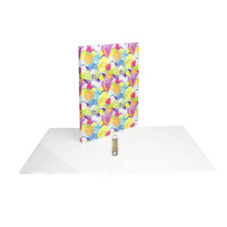 Segregator 2cm 20mm wąski A4 2R 2 ringi PVC twardy owoce