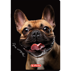 Zeszyt A5 60 kartek w linie z marginesem 70g Crazy Animal HERLITZ