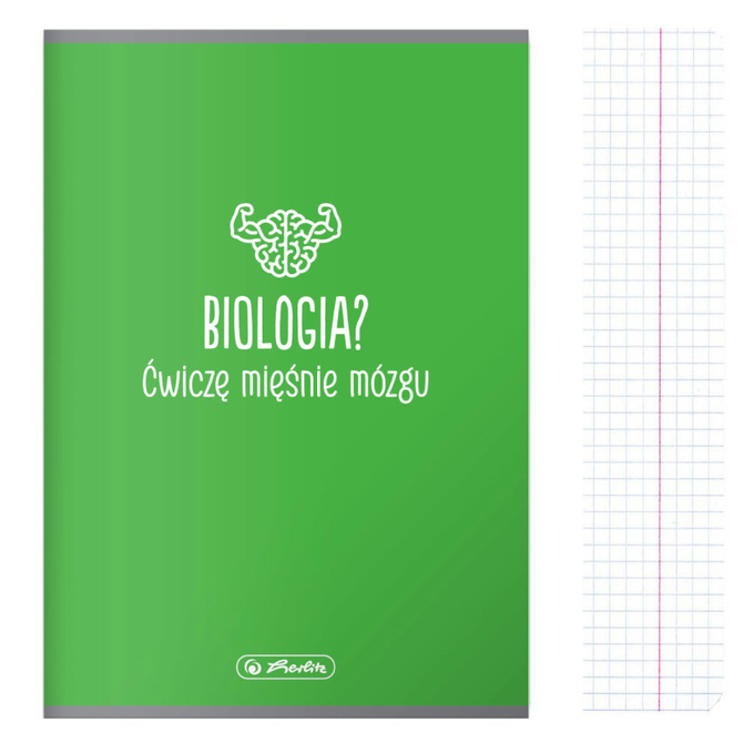 Zestaw zeszyt przedmiotowy klasa 5-6, 8x A5 60k soft touch HERLITZ