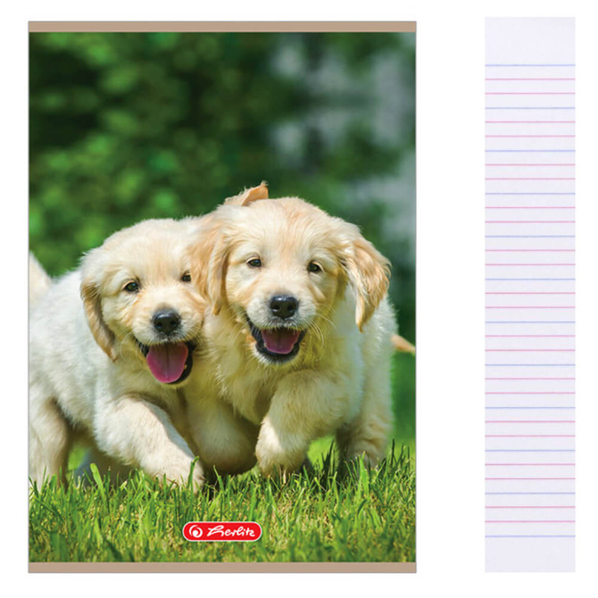 Wyprawka szkolna do szkoły piórnik zeszyty pióro 10el. PELIKAN HERLITZ