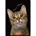 Zeszyt A5 60 kartek w linie z marginesem 70g Crazy Animal HERLITZ