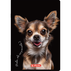 Zeszyt A5 60 kartek w linie z marginesem 70g Crazy Animal HERLITZ