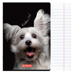 Zeszyt A5 60 kartek w linie z marginesem 70g Crazy Animal HERLITZ