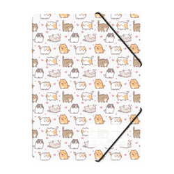 Teczka rysunkowa z gumką A4 plastikowa PP kittens koty BIURFOL