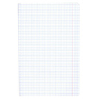 Zeszyt A4 60 kartek kratka w kratkę EKIPA Friza HERLITZ