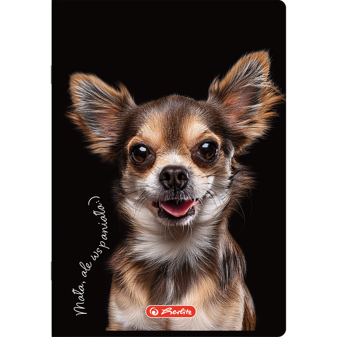 Zeszyt A5 60 kartek w linie z marginesem 70g Crazy Animal HERLITZ